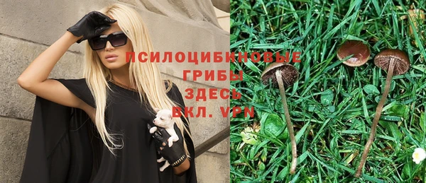 а пвп мука Зеленодольск