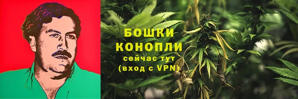 шишки Зерноград