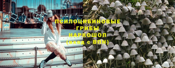 шишки Зерноград