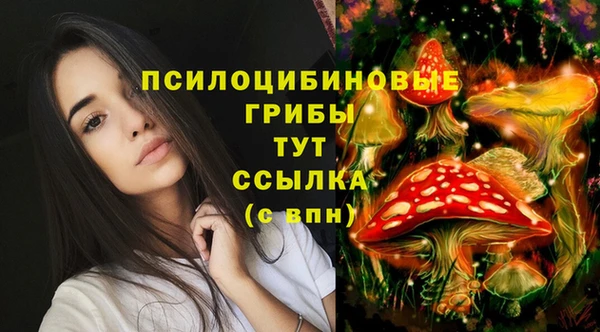 шишки Зерноград