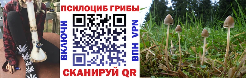 Псилоцибиновые грибы Psilocybine cubensis  Купить закладки  Макарьев 